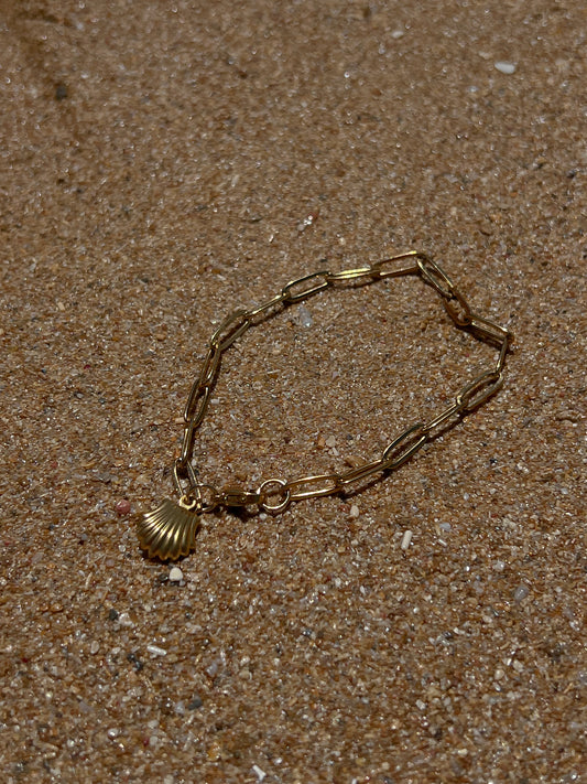 Shell Bracelet