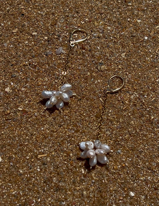 Reef Earrings